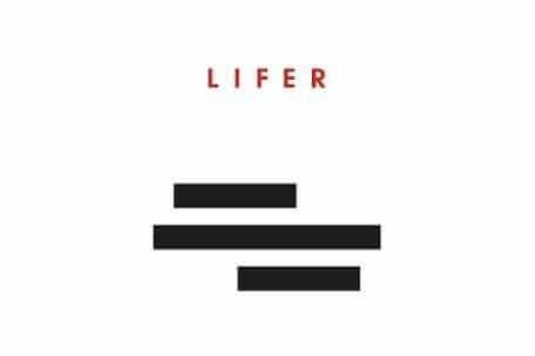 MercyME – Lifer